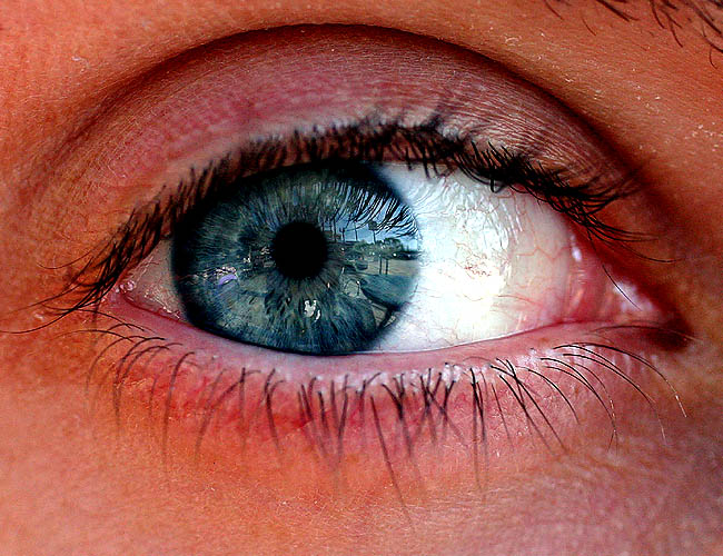 <b>Blue-Eyed Witch</b><br>This is the very first shot I took with the new macro lens I mentiond yesterday. I've always fallen for men with colored eyes. In Turkey, almost every single person has brown eyes. Blue eyes are so rare that we have something called the 'evil eye' which is blue. It is supposed to protect you from the spells that witches cast. They used to believe that people with blue eyes were witches, hence the color of the evil eye. Even though the brown eyes carry the dominant genes, I am hoping that our little baby is blessed with Jake's blue eyes.