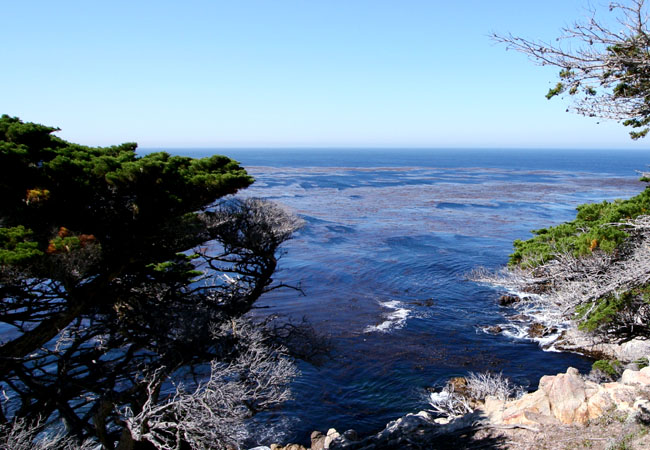 North Pacific Coast Highway