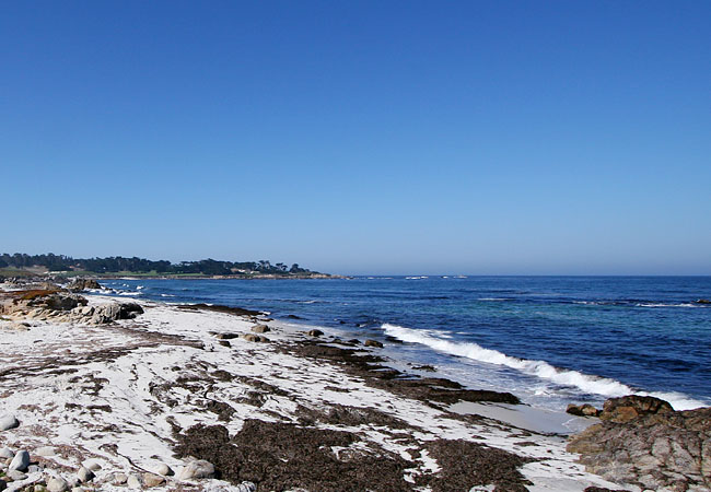 North Pacific Coast Highway