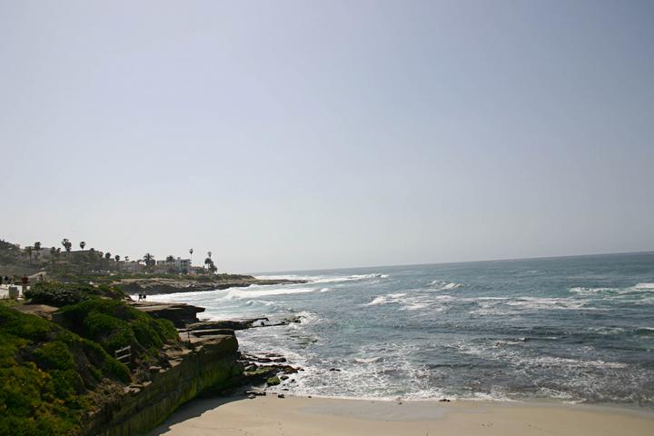 lunch in la jolla