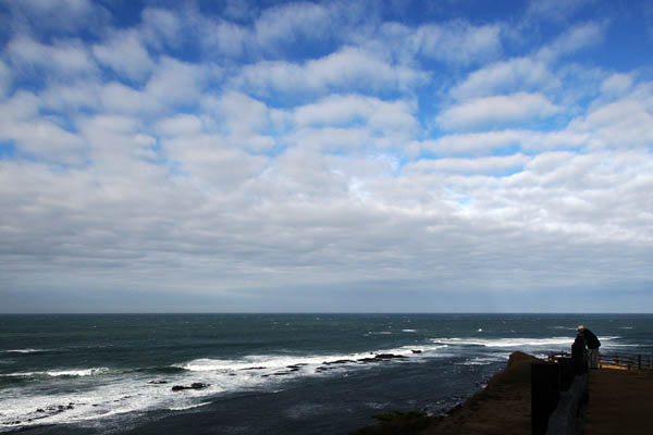 fitzgerald marine reserve