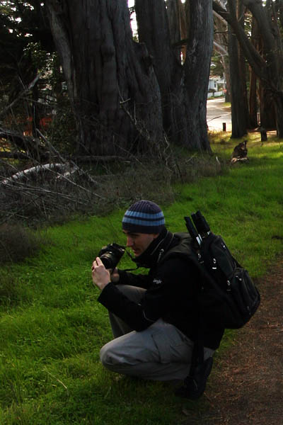 fitzgerald marine reserve