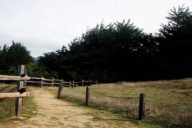 fitzgerald marine reserve