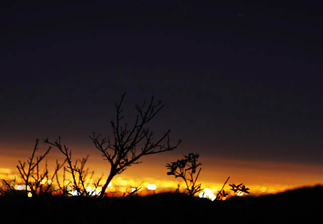 Night Photography - January 2008