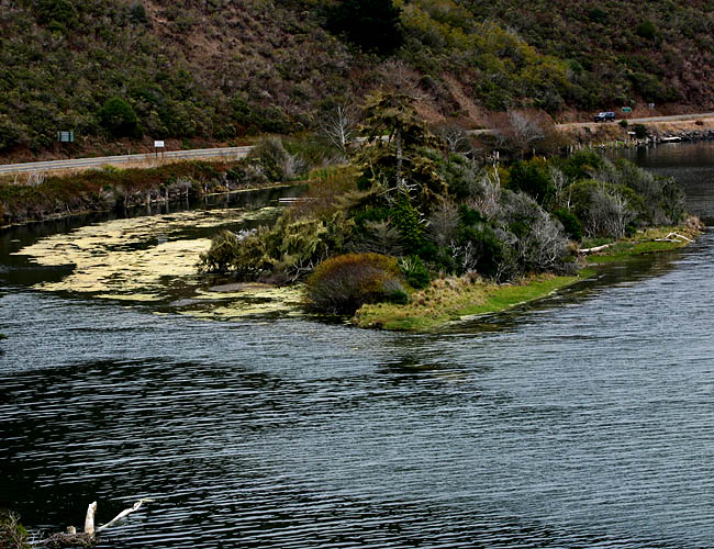 north pacific coast highway