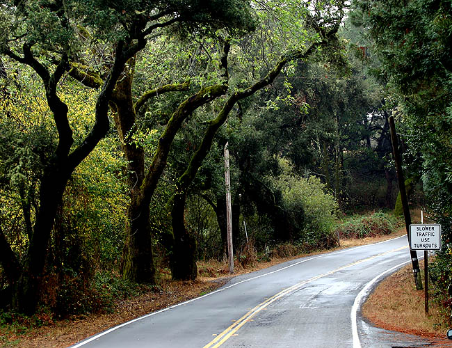 north pacific coast highway