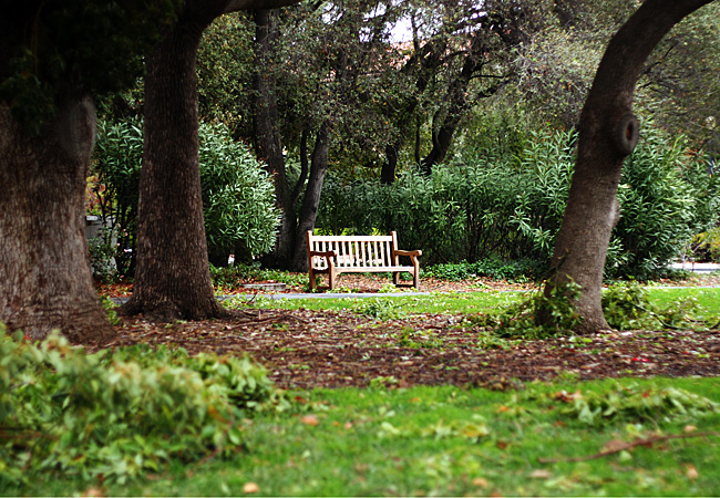 Stanford Campus