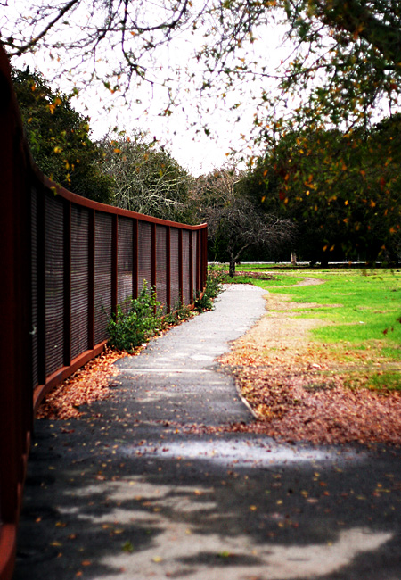 Stanford Campus