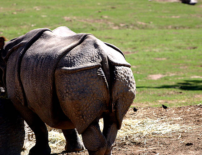 wild animal park