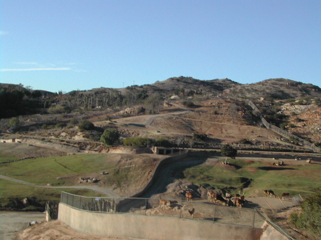 san diego wild animal park