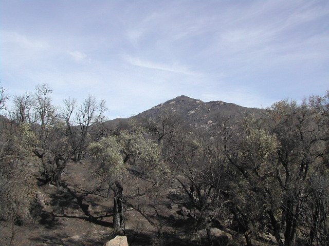 anze borrego desert