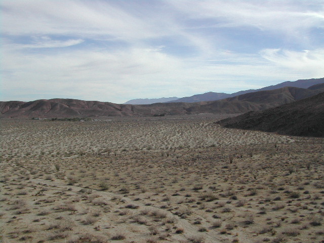 anze borrego desert