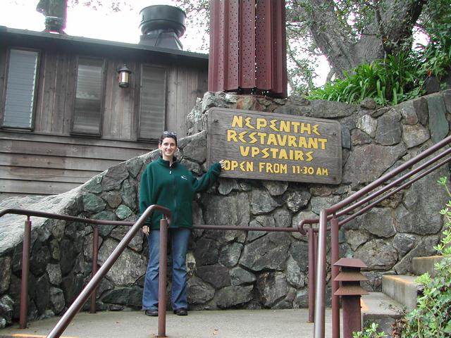 pacific coast highway - big sur