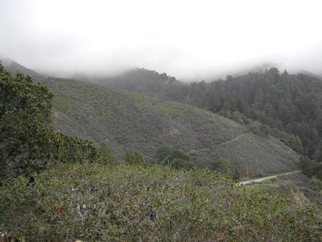 pacific coast highway - big sur