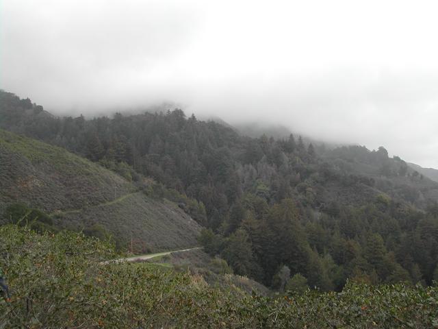 pacific coast highway - big sur