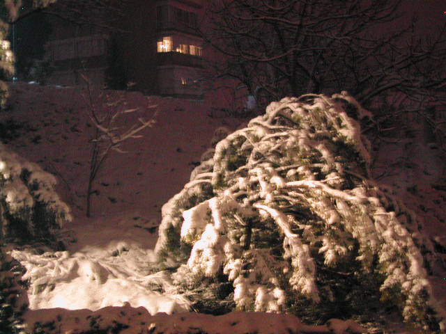 snow in istanbul - february 2003