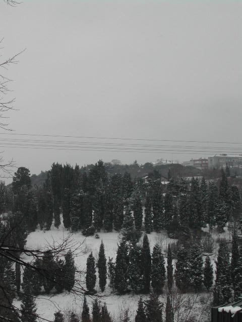 snow in istanbul - february 2003