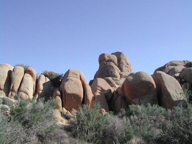 Joshua Tree National Park