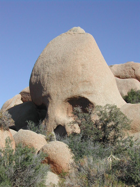 Joshua Tree National Park