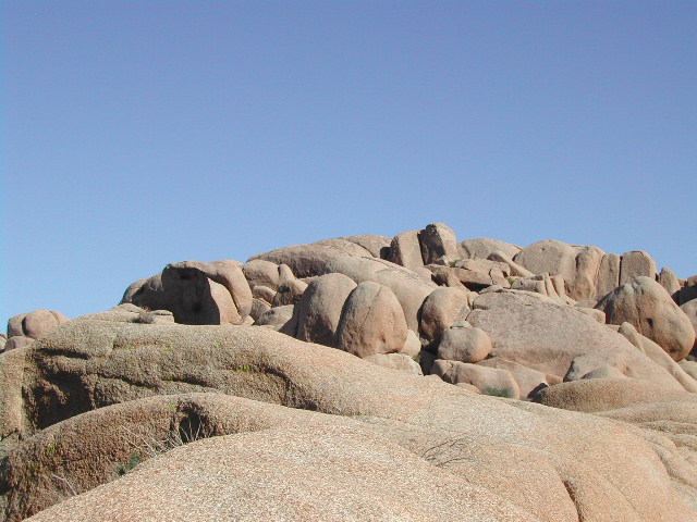 Joshua Tree National Park