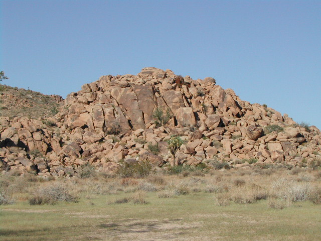 Joshua Tree National Park