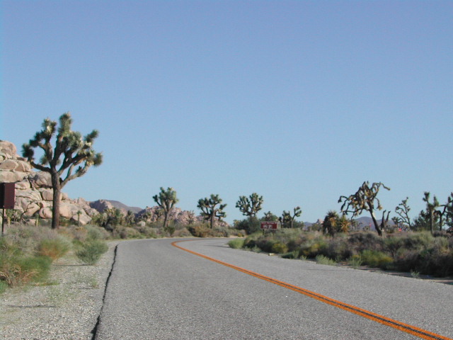 Joshua Tree National Park