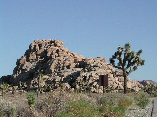 Joshua Tree National Park