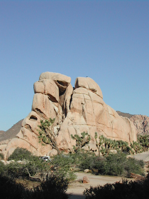 Joshua Tree National Park