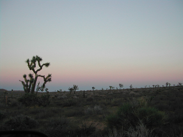 Joshua Tree National Park