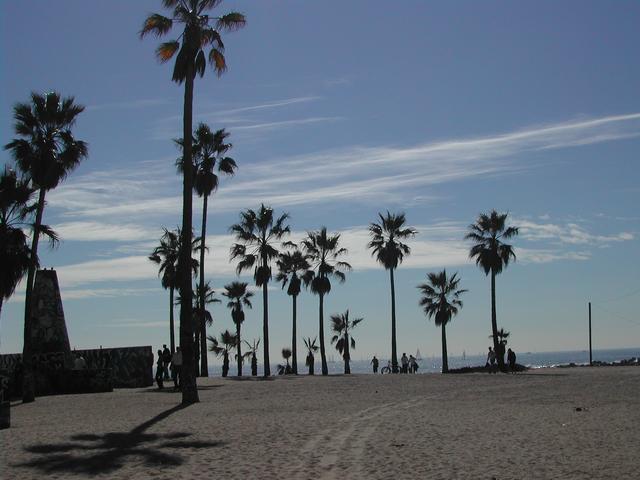 a day in malibu, venice beach, beverly hills