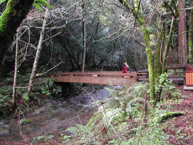 muir woods national monument