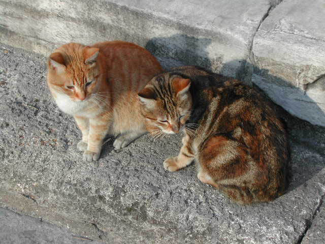 sightseeing in istanbul