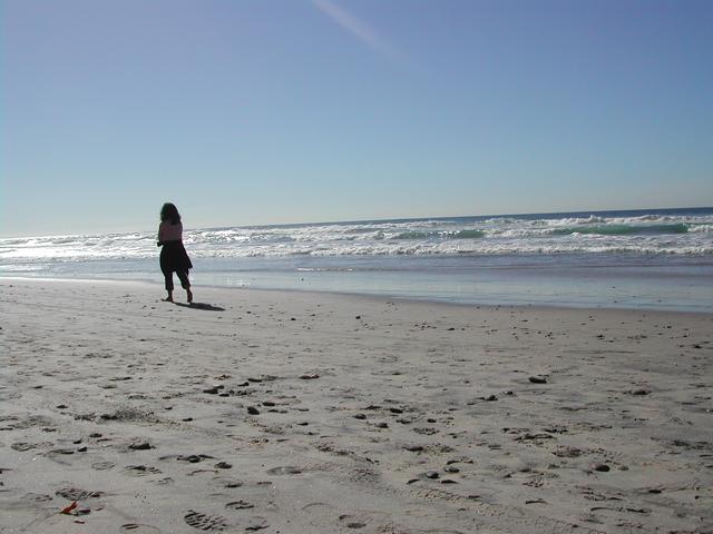 new year's eve - torrey pines state reserve