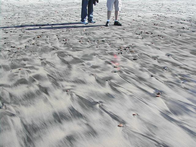 new year's eve - torrey pines state reserve