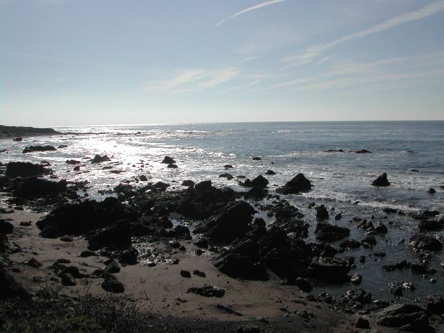 pacific coast highway - ragged point