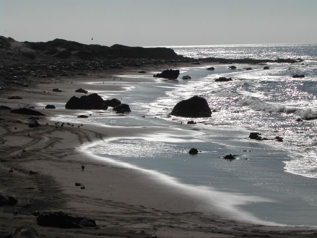 pacific coast highway - ragged point