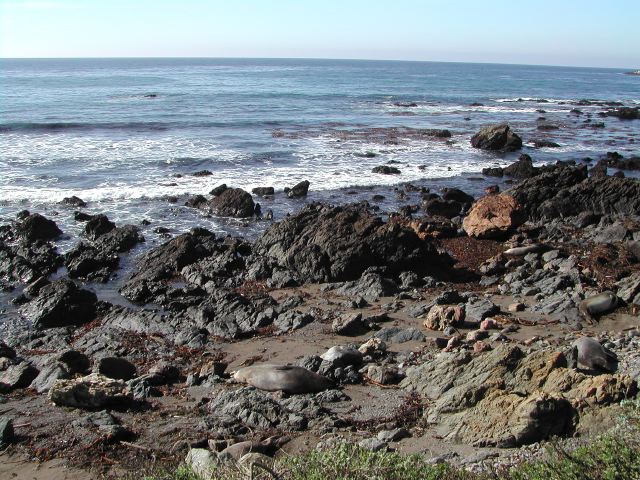 pacific coast highway - ragged point