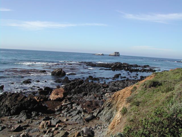 pacific coast highway - ragged point