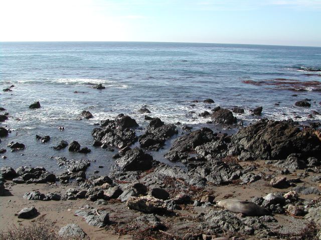 pacific coast highway - ragged point