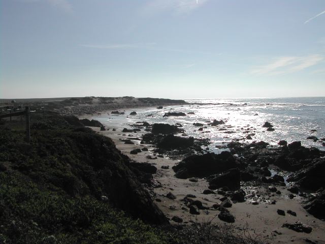 pacific coast highway - ragged point