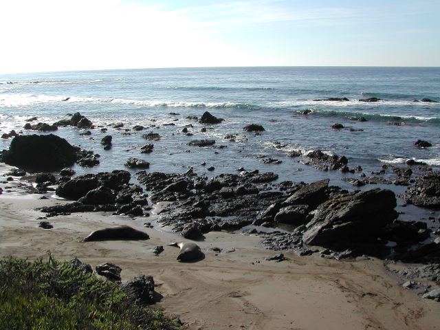 pacific coast highway - ragged point