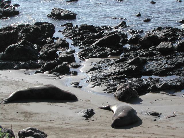 pacific coast highway - ragged point