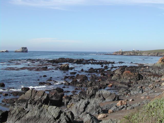 pacific coast highway - ragged point