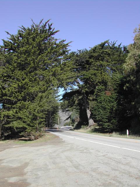 pacific coast highway - on the road