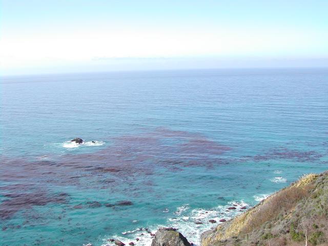 pacific coast highway - on the road