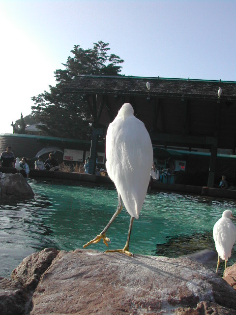 sea world