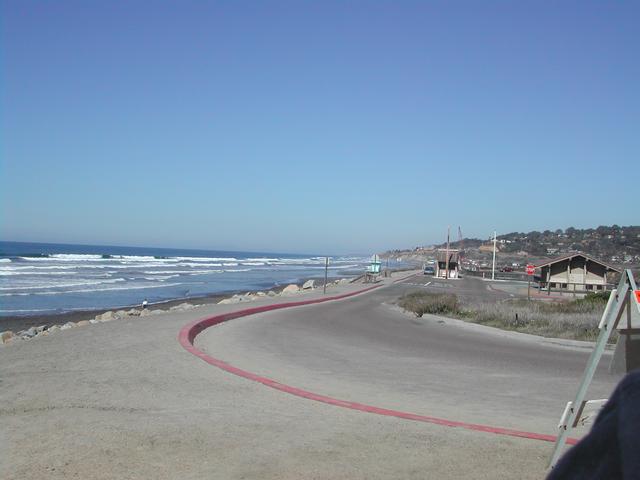 torrey pines state reserve - part ii