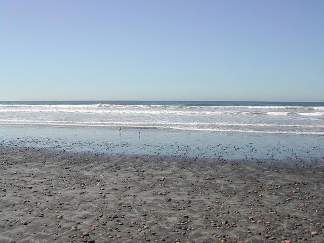 torrey pines state reserve - part ii