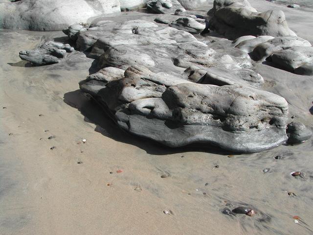 torrey pines state reserve - part ii