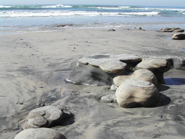 torrey pines state reserve - part ii